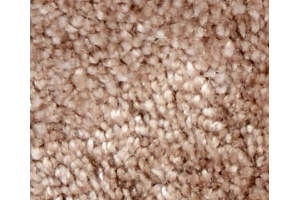 Коврик Wasserkraft Wern BM-2534 mink - 3