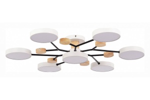 Потолочная люстра EVOLUCE Faema SLE6006-502-07