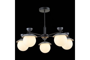 Люстра на штанге EVOLUCE Genova SLE220202-05 - 3