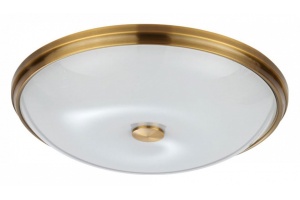 Потолочный светильник Odeon Light Walli Pelow 4956/5