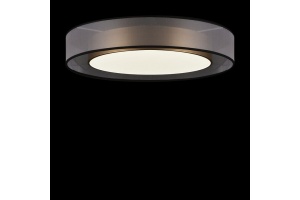 Потолочный светодиодный светильник Freya Zoticus FR6005CL-L48G - 2