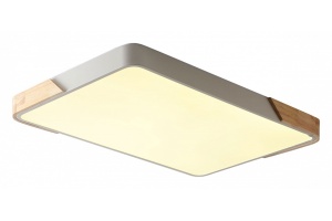 Накладной светильник Zortes ALBERRO ZRS.01233.60 - 2