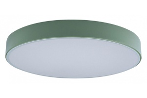 Накладной светильник Loft it Axel 1 10002/24 Green