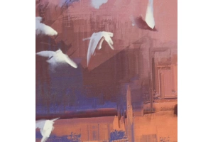 Штора для ванной Wasserkraft Ammer 180х200 рисунок оранжевый - 3