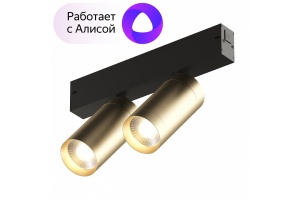 Трековый светодиодный светильник Denkirs Smart Spot DK8012-BG - 2