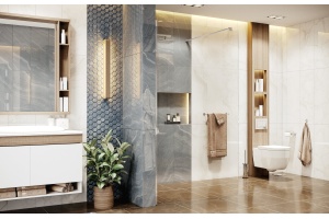 Душевая перегородка Ambassador Walk-in 15031103 110х200 см, профиль хром - 3