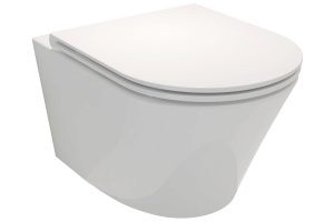 Унитаз подвесной Jacob Delafon Rodin+ EDY102-00