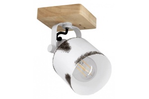 Спот Eglo Kilburn 43921