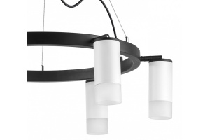 Подвесная люстра Lightstar Rullo LR0163661 - 3