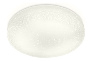 Накладной светильник Ambrella FF FF21