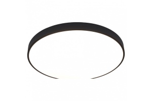 Потолочный светодиодный светильник Arte Lamp Arena A2673PL-1BK