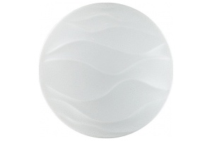 Настенно-потолочный светодиодный светильник Sonex Pale Erica 2090/DL