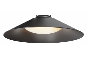 Подвесной светильник Maytoni Campana TR127B-12W3K-B