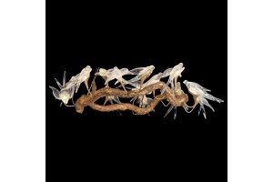 Подвесная люстра Wertmark Viviana WE183.14.503