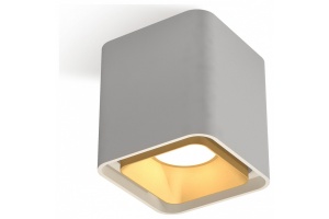 Накладной светильник Ambrella Light XS XS7840004