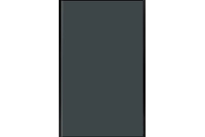 Боковая стенка Vincea Garda 80х190 черная стекло прозрачное