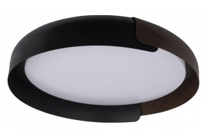 Накладной светильник Loft it Coin 10198 Black