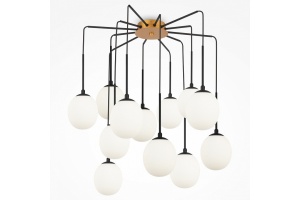 Потолочная люстра Maytoni Branch MOD176PL-12G