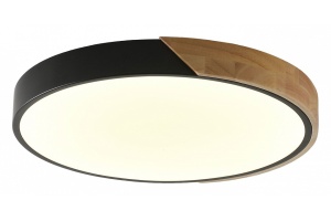 Накладной светильник Zortes ALBERRO ZRS.01287.36