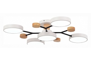 Потолочная люстра EVOLUCE Faema SLE6006-502-05 - 2