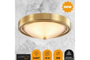 Настенно-потолочный светильник Lumion Vintage Nina 5259/2C - 3