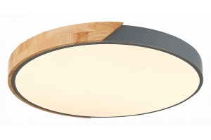 Накладной светильник EVOLUCE Festa SLE200972-01 - 2