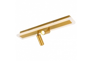 Светодиодный спот Arte Lamp Tommy A2607PL-22GO