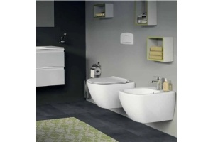 Биде подвесное Ideal Standard Tesi белый (T457001) - 2