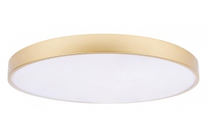 Накладной светильник Loft it Flims 10228/B