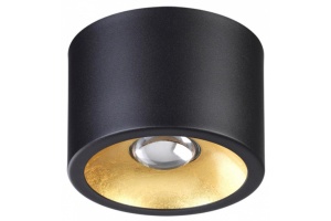 Накладной светильник Odeon Light Glasgow 6669/1CL