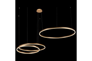 Подвесной светодиодный светильник Loft IT Ring 10017/3L - 2