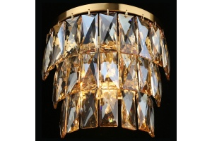 Накладной светильник Aployt Francheska APL.837.01.01 - 2