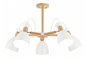 Люстра на штанге EVOLUCE Balcamo SLE103802-05