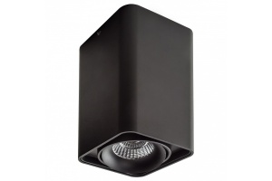 Потолочный светильник Lightstar Monocco 212537