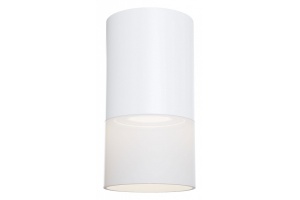 Потолочный светильник Maytoni Pauline C007CW-01W