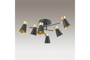Потолочная люстра Lumion Lofti Liam 3790/6C - 2
