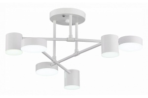 Потолочная люстра EVOLUCE Nobel SLE201052-06 - 3