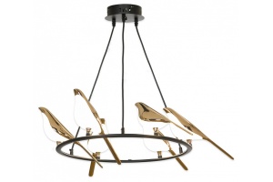 Подвесная люстра Lussole Jasper LSP-8641 - 3