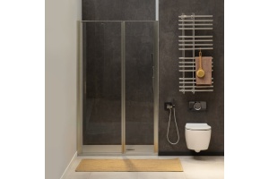 Душевая дверь в нишу Allen Brau Priority 3.31005.BA 100