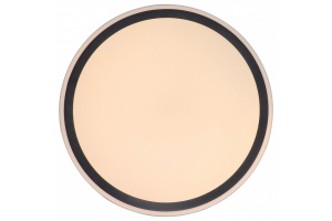 Накладной светильник Zortes BELLA ZRS.1201.11 - 2