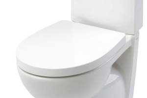 Крышка-сиденье Roca Victoria Nord ZRU9000024 с микролифтом, петли хром