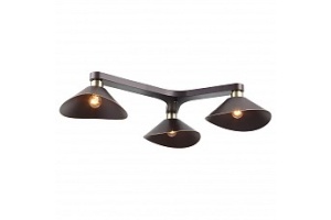 Потолочная люстра Lussole Opelika GRLSP-9534 - 2