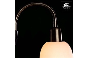 Торшер Arte Lamp Duetto A9569PN-2AB - 3