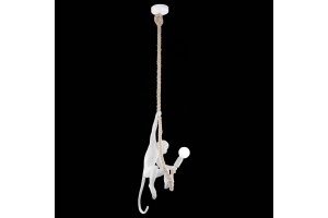 Подвесной светильник EVOLUCE Tenato SLE115103-01 - 2