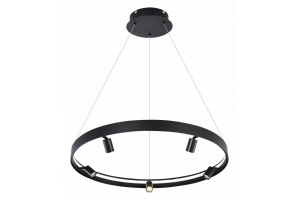 Подвесная люстра iLedex Vision 2060-D800 BK - 2