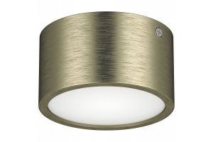 Потолочный светодиодный светильник Lightstar Zolla 211911