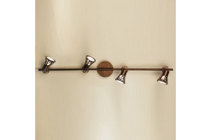 Спот Citilux Винон CL519544