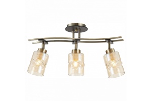 Спот Citilux Мерида CL142134