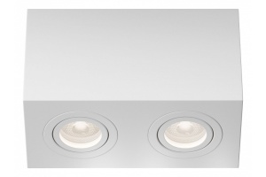 Накладной светильник Maytoni Atom C017CL-02W