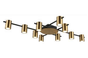 Потолочная люстра Aployt Elwisia APL.633.07.10